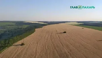 Европейский проект AI4SoilHealth применил ИИ для изучения и защиты почв Европы